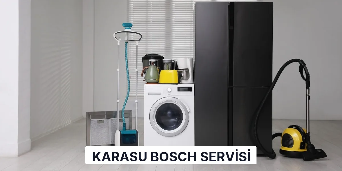 Karasu Bosch Servisi
