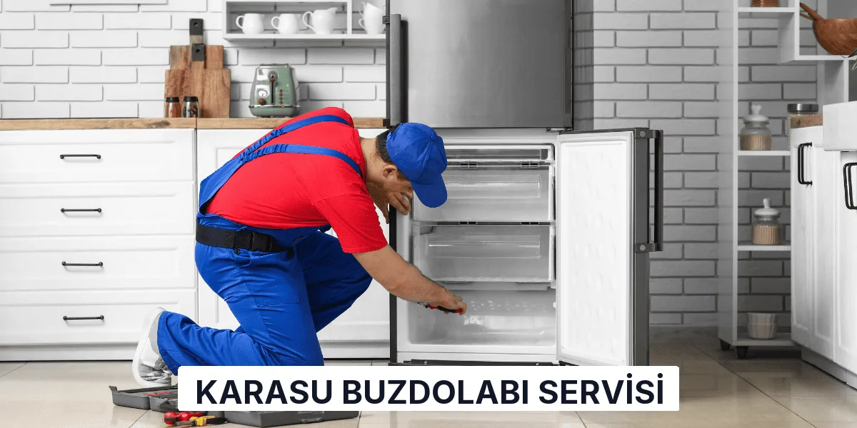 Karasu Buzdolabı Servisi
