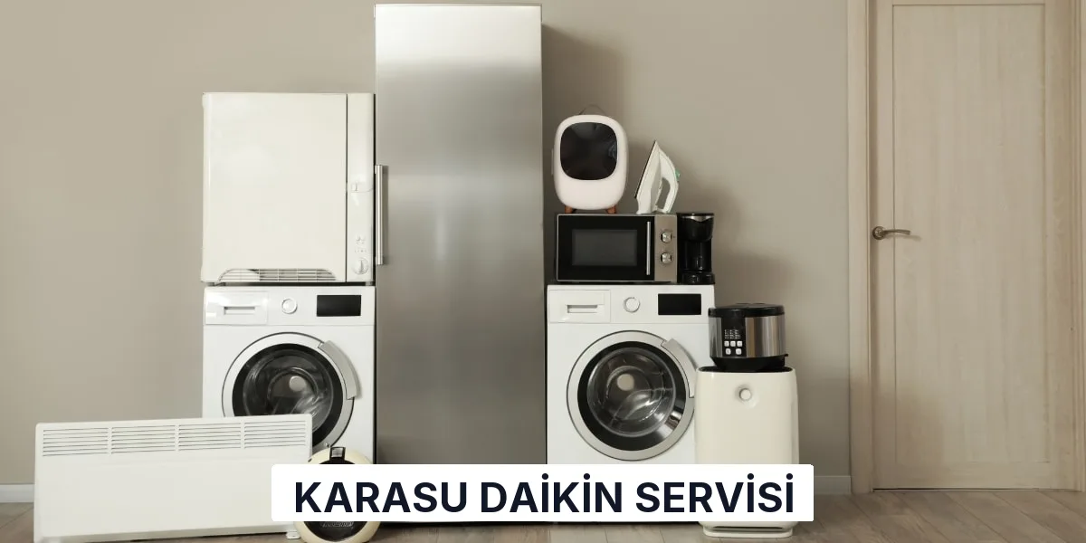 Karasu Daikin Servisi