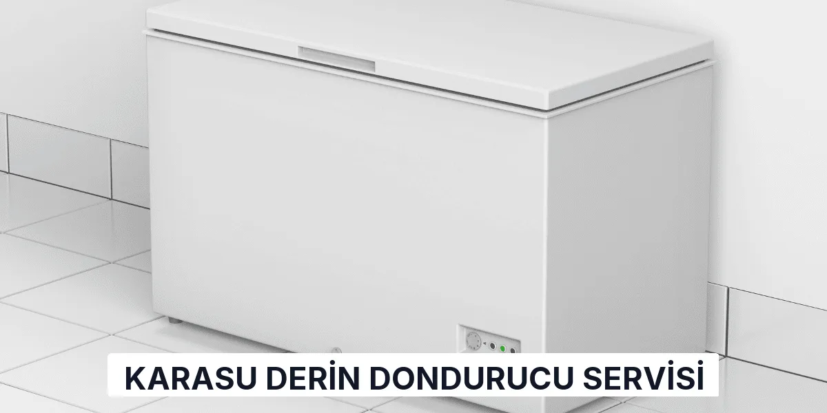 Karasu Derin Dondurucu Servisi