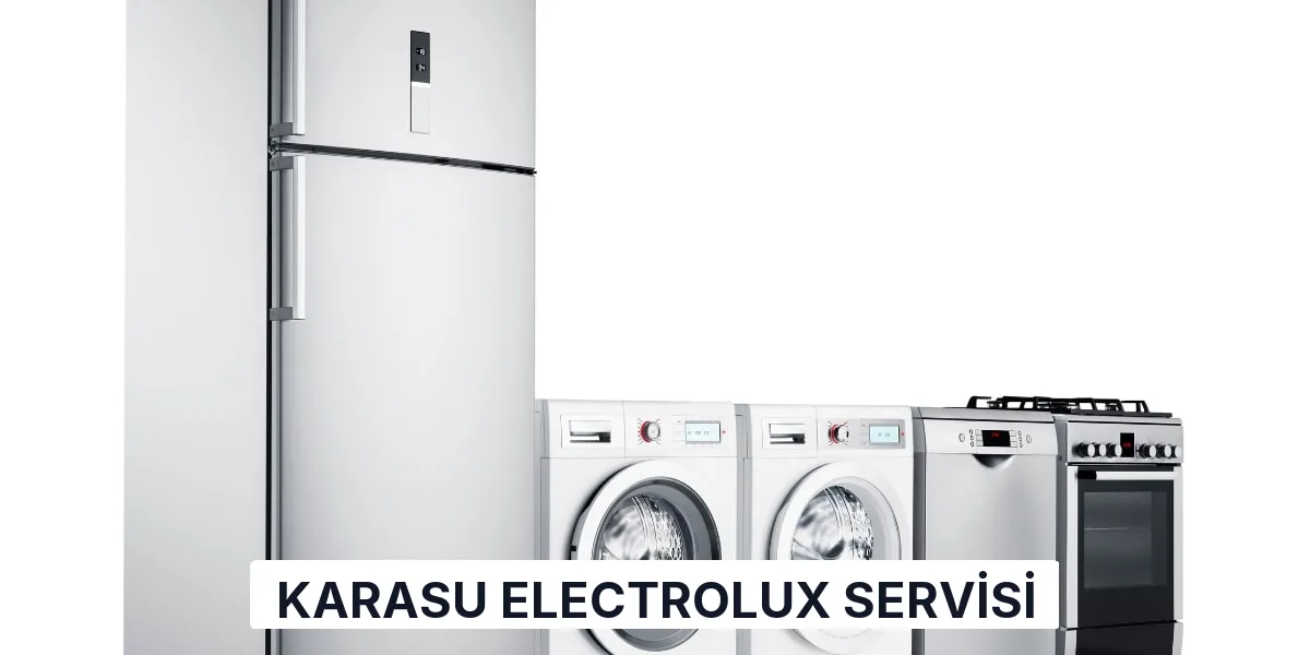 Karasu Electrolux Servisi