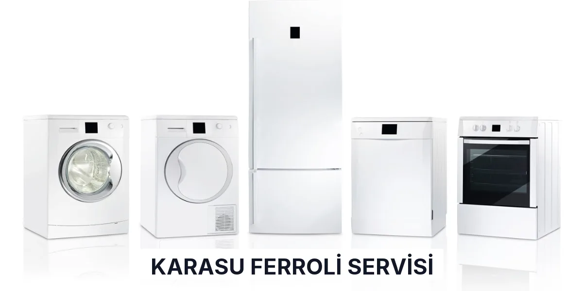 Karasu Ferroli Servisi