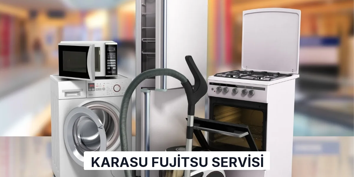 Karasu Fujitsu Servisi