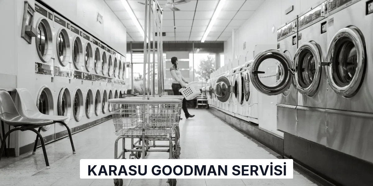 Karasu Goodman Servisi