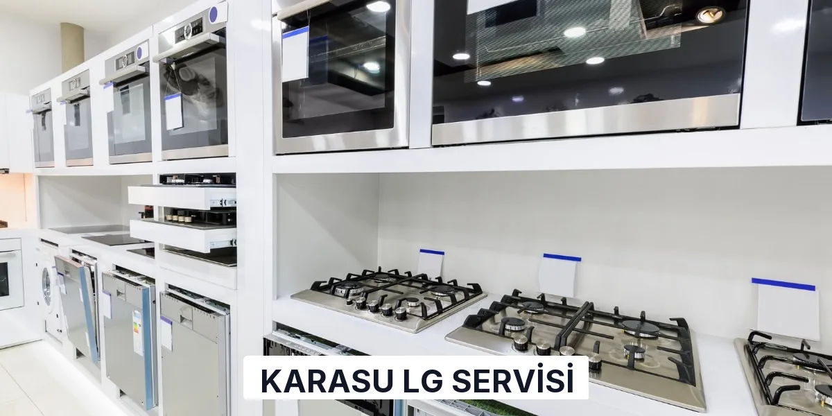 Karasu LG Servisi