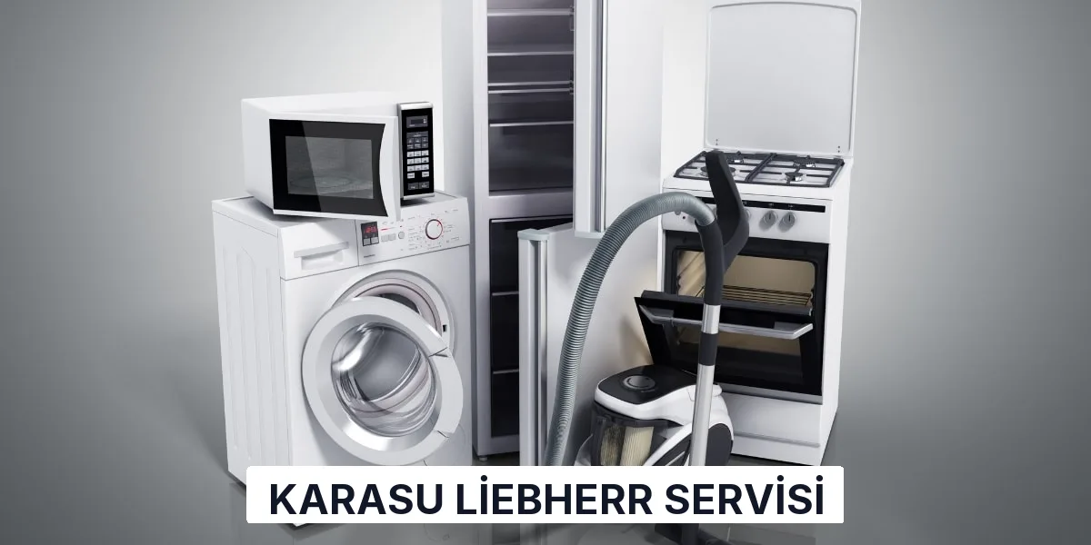 Karasu Liebherr Servisi