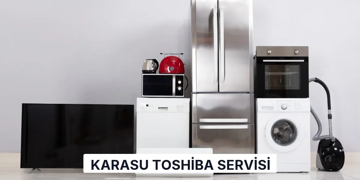 Karasu Toshiba Servisi