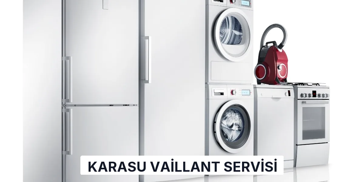 Karasu Vaillant Servisi